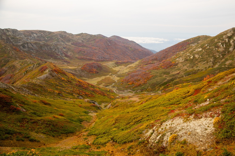 Грузия, Аджария